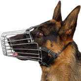 BRONZEDOG bozal jaula alambre metal, diseño duradero para paseos seguros.