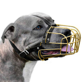 BRONZEDOG bozal de metal grafito para Pitbull, cómodo y seguro durante paseos