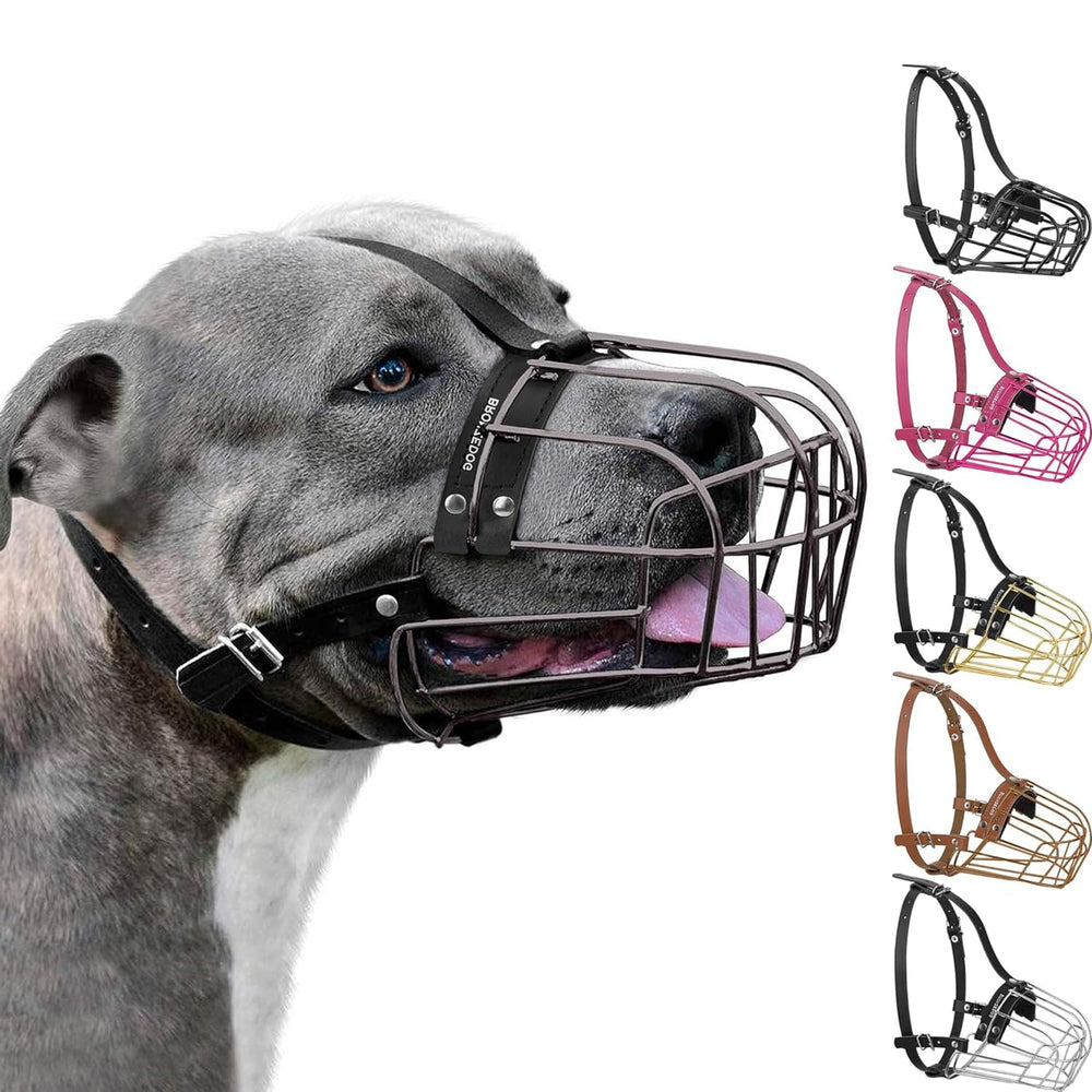 BRONZEDOG bozal de rejilla metálica para pitbull, perfil para paseos seguros y cómodos.