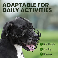 BRONZEDOG bozal de gran tamaño ideal para razas grandes durante paseo.