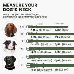 BRONZEDOG ajuste ergonómico para un ajuste cómodo y seguro en cualquier perro.