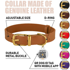 BRONZEDOG collar cuero ajuste ajustable para comodidad diaria.