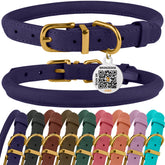 BronzeDog collar enrollado con etiqueta QR, facilita identificación rápida y segura de tu perro