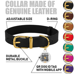 BRONZEDOG collar de cuero con etiqueta QR para identificar a tu mascota