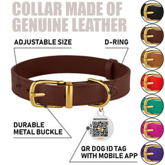 BRONZEDOG collar de cuero, hebilla dorada, estilo y durabilidad para paseos.