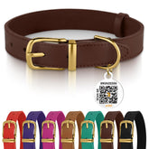 BRONZEDOG collar de cuero con hebilla dorada, cómodo y duradero para razas pequeñas.