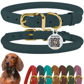 BronzeDog collar enrollado en cuero color cognac, ideal para paseos diarios