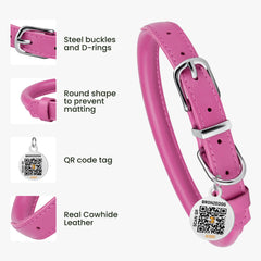 BRONZEDOG collar con anilla en forma de D para correa y etiqueta.