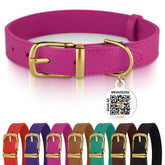 BRONZEDOG collar de cuero con hebilla metálica, duradero para paseos diarios.