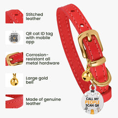 Collar BRONZEDOG con etiqueta QR para devolución rápida.