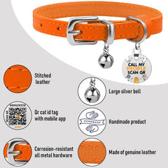 BRONZEDOG collar con herrajes duraderos para uso diario.