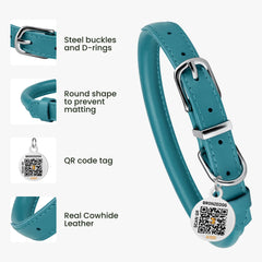 BRONZEDOG collar enrollado turquesa con etiqueta QR, identificación rápida.