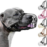 BRONZEDOG mordaza de metal para pitbull: control seguro durante paseos