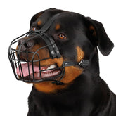 BRONZEDOG bozal grande con correa de cuero, ajuste cómodo para perros grandes.