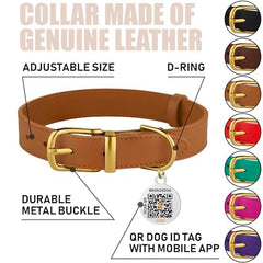 Close-up of BRONZEDOG collar showing built-in QR ID tag for easy ID.