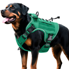 Bruvoalon Arnés Táctico para Perro Grande, durabilidad para paseos intensos