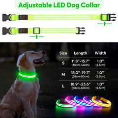 Luz verde del collar BSEEN, impermeable y ideal para lluvia.