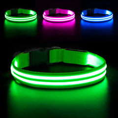 Collar LED BSEEN para perro, visibilidad nocturna para paseos seguros.