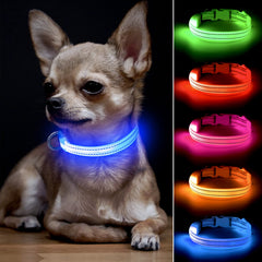 BSEEN Collar LED azul XS ilumina la noche para perros y gatos.