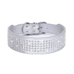 BTDCFY collar para perro con cristales zirconia, cinco filas que resaltan.