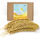BUCATSTATE Spray Millet para aves: mijo en spray para energía natural.