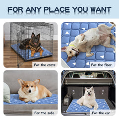 Bubble Bear Cama perro lavable, fácil de limpiar y conservar forma