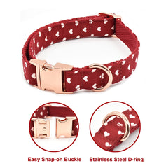 Bubblepup correa perro duradera para paseos largos y confiables.