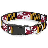 Collar Buckle-Down con banderas de Maryland para perros, estilo vistoso en paseos diarios.