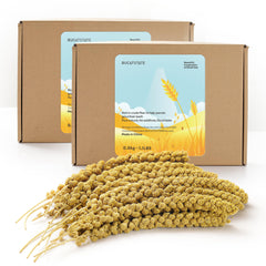BUCATSTATE mijo ramillete para aves: snack natural y bajo en grasa.