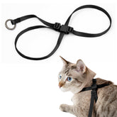 Arnés BuddyArmor para gato antihuida con cierre de aluminio para paseos seguros.