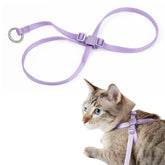 BuddyArmor arnés para gato con cierre de aluminio para paseos seguros.