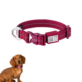 Correa BuddyArmor para perros: uso todo clima con nylon suave y cómodo.