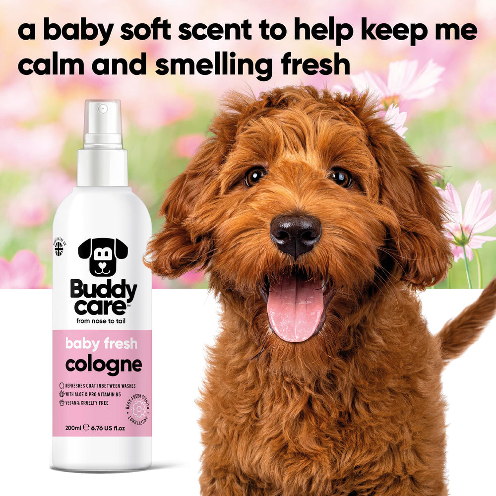 Buddycare colonia perro, aplicación rápida, para refrescar entre paseos.
