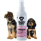 Colonia Buddycare para perros, frasco transparente, aroma delicado que refresca entre baños.