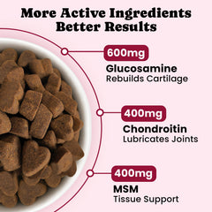 Envase de BuddyCheer Glucosamina con etiqueta clara para perros senior.