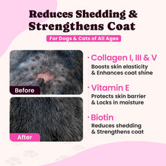 BuddyCheer Péptidos de colágeno de alta absorción para piel suave.