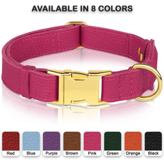 BudKAS guía de tallas XS-XL para perros