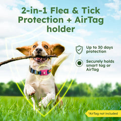 BugMD Paw Guardian accesorio con AirTag para collar rosado, ubicación sencilla