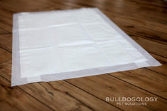 Bulldogology almohadillas con control de olor para casa limpia