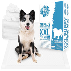 Bulldogology pads XXL con tapas adhesivas para evitar desplazamientos en el suelo.