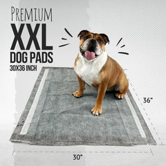 Pañales Bulldogology absorción rápida con carbón activo para control de líquidos.