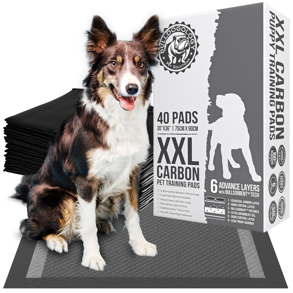 Pañales Bulldogology carbón activo XXL 30x36 para absorción rápida y protección de suelos.