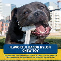 Bullibone, masticación para perros extragrandes, ofrece resistencia y uso prolongado.