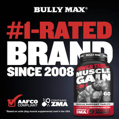 Bully Max, perro activo, energía para juegos y entrenamiento diario.