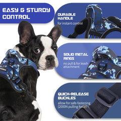 Enganche dorsal de BUMBIN para paseos diarios seguros