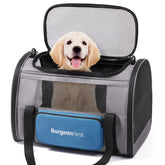 BurgeonNest portador para gatos grandes con ventanas ventiladas para mayor aire.