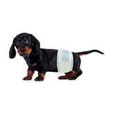 BV Envolturas para Perros Machos Pequeños: ajuste de cintura 30–48 cm, cómodo y seguro.