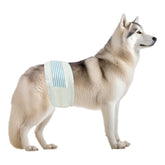 BV pañales para perros: ajuste cómodo para cintura 21-26 pulgadas.