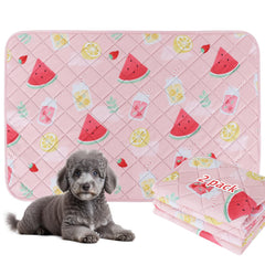 BVAGSS almohadilla lavable para perros con diseño sandía protege suelos