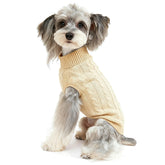 Suéter para perros Bwealthest con cuello alto ideal para paseos fríos.